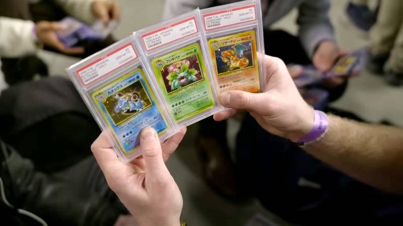 Graded Pokemon Karten als Beispiel für Slab-Angebote